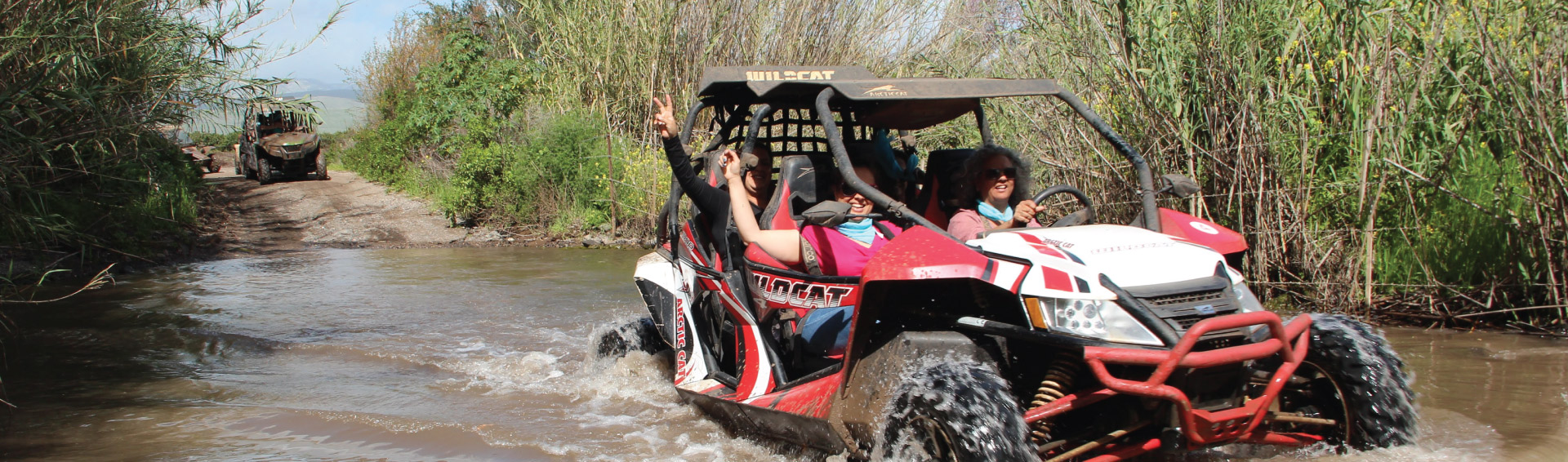 מירוץ או חלום