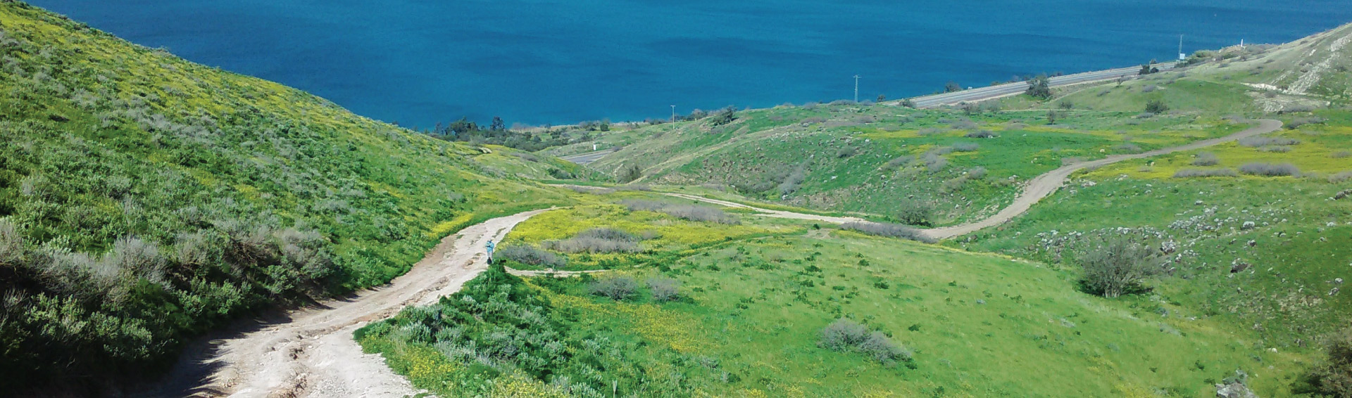 נופים וטעמים